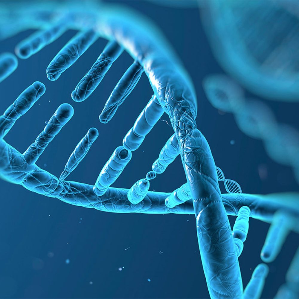 biomedical-sciences-study-area-1220x732